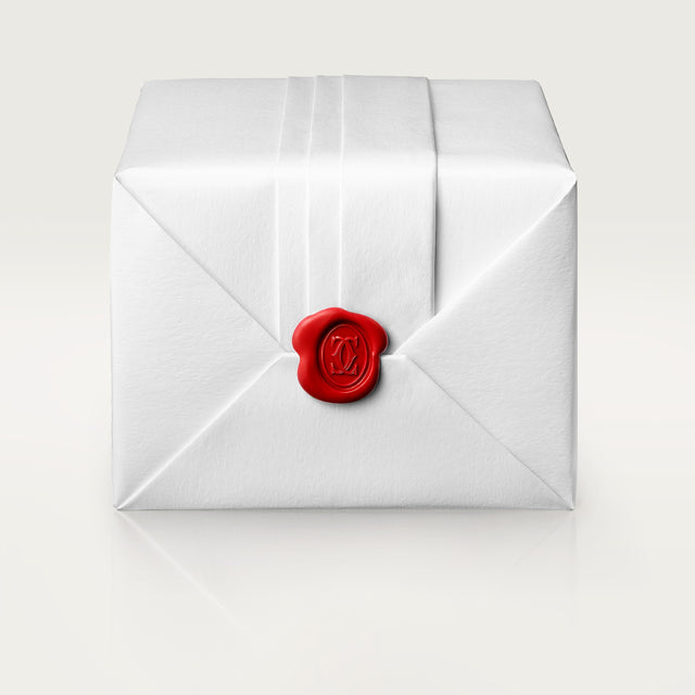 Santos de Cartier watch