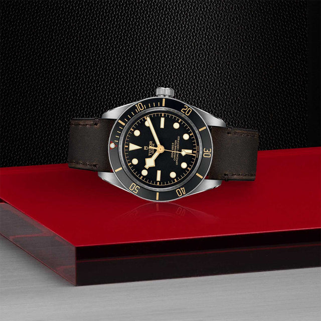 TUDOR Black Bay Fifty Eight M79030N 0002 Layingdown