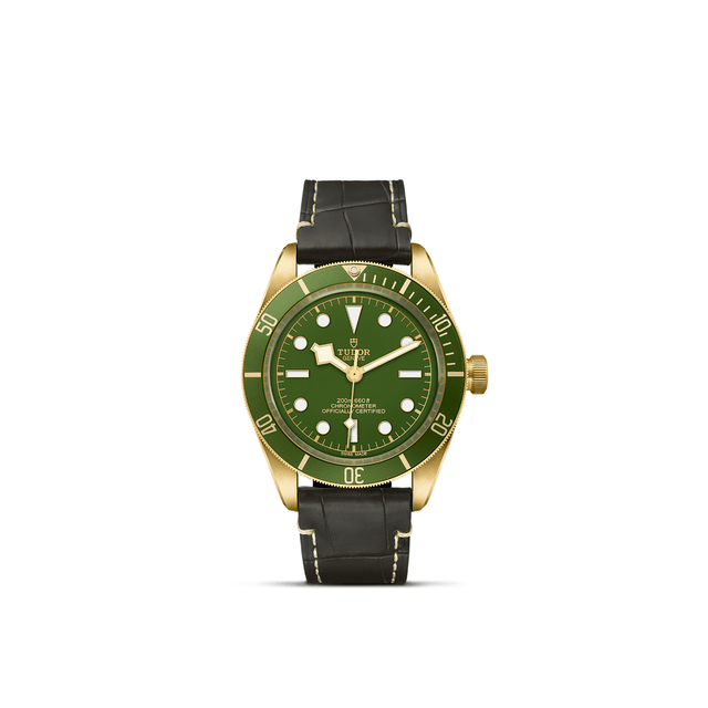 TUDOR Black Bay 58 18K