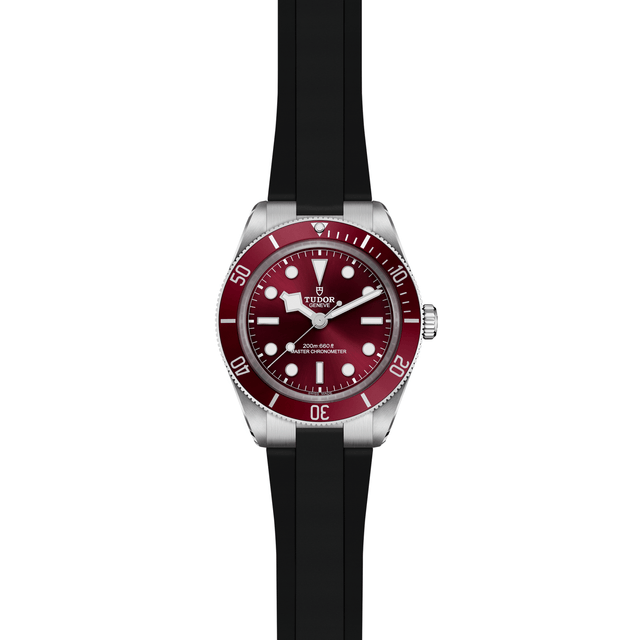 TUDOR Black Bay 58