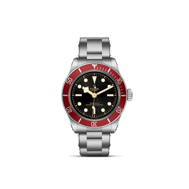 TUDOR Black Bay