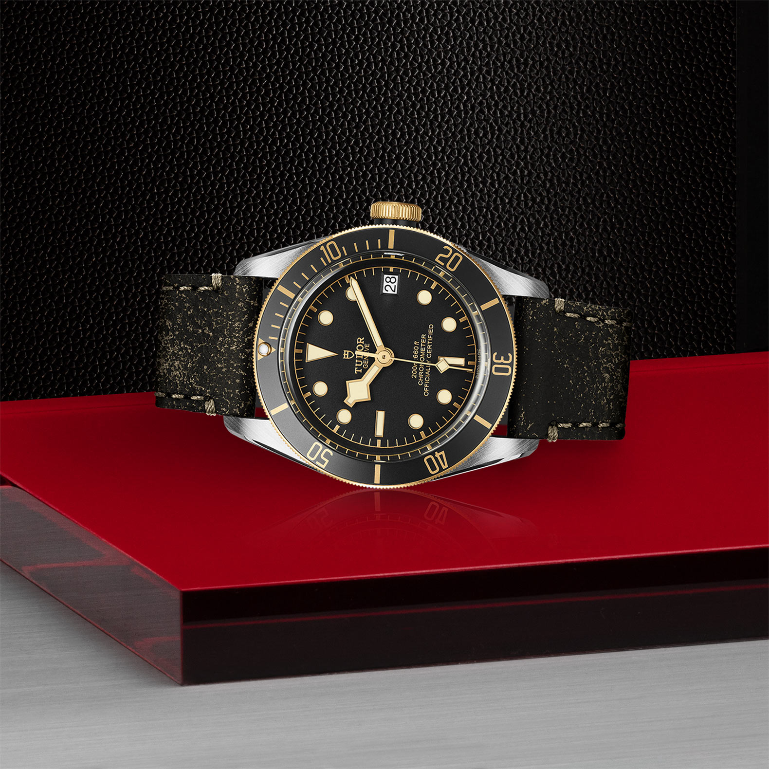 Tudor black best sale bay sg