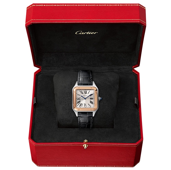 Santos de Cartier 38mm in Steel Gold Official Retailer Kennedy