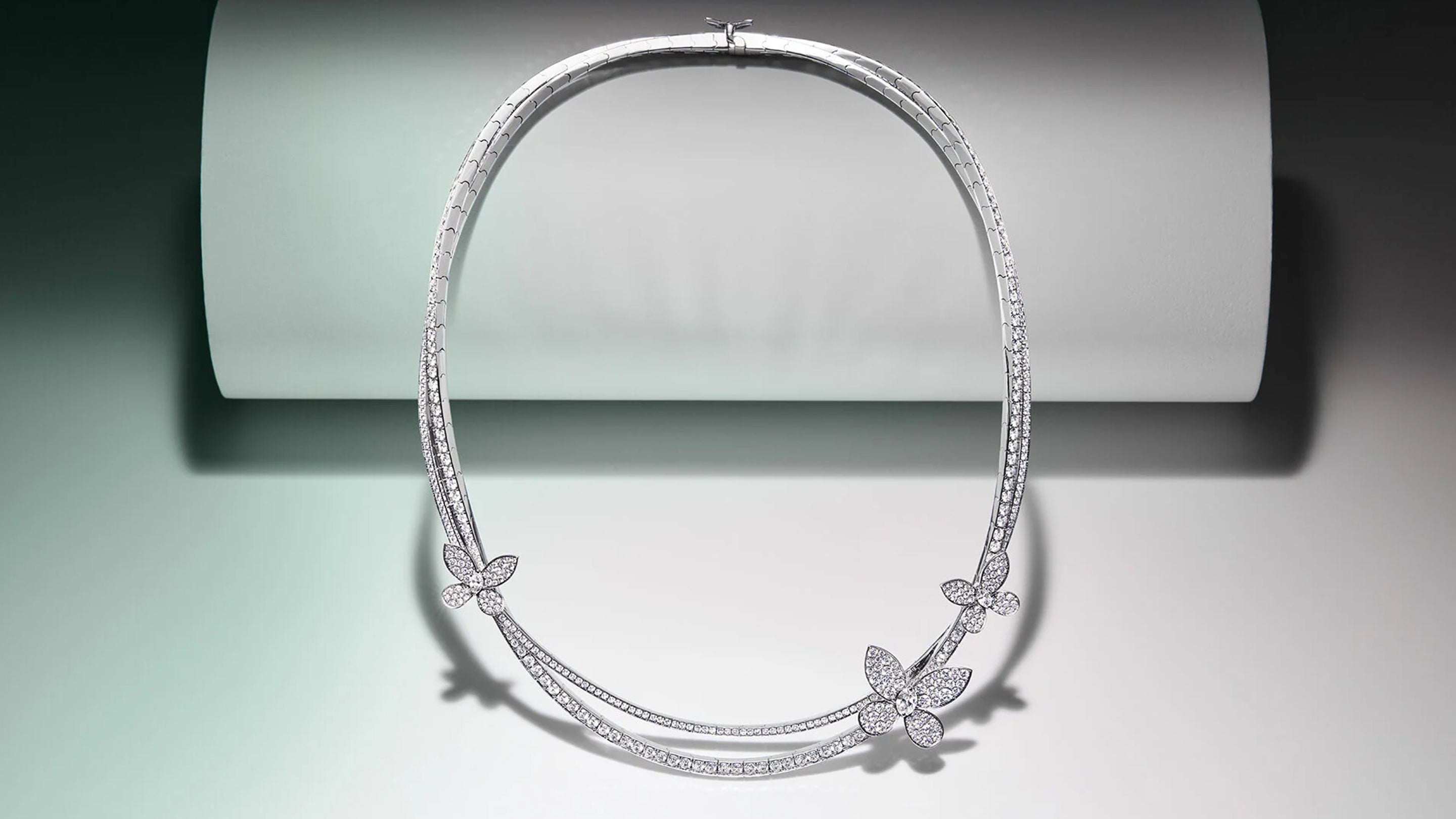 Butterfly Collection