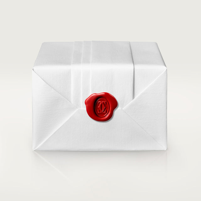 Ballon Bleu de Cartier watch