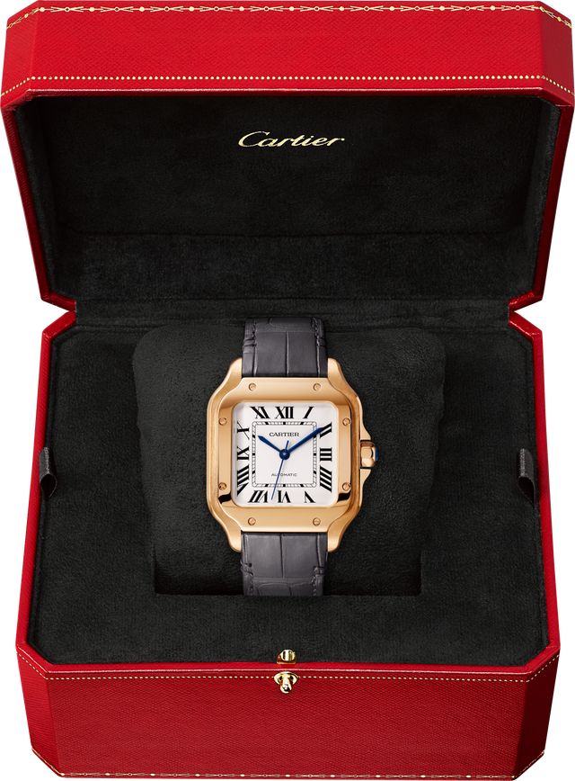 Santos de Cartier watch