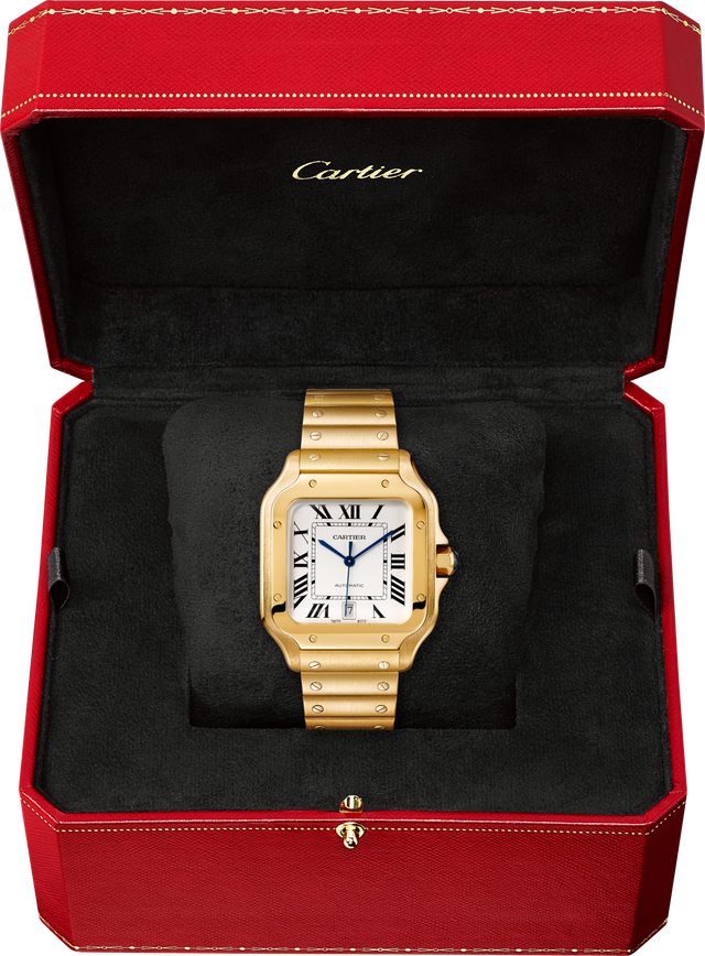 Santos de Cartier watch