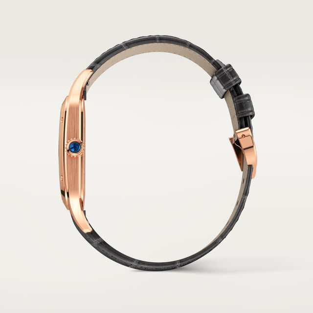 Santos-Dumont watch