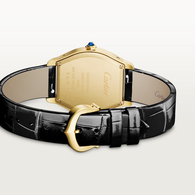Tortue watch
