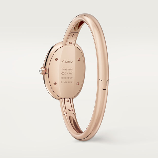 Baignoire watch