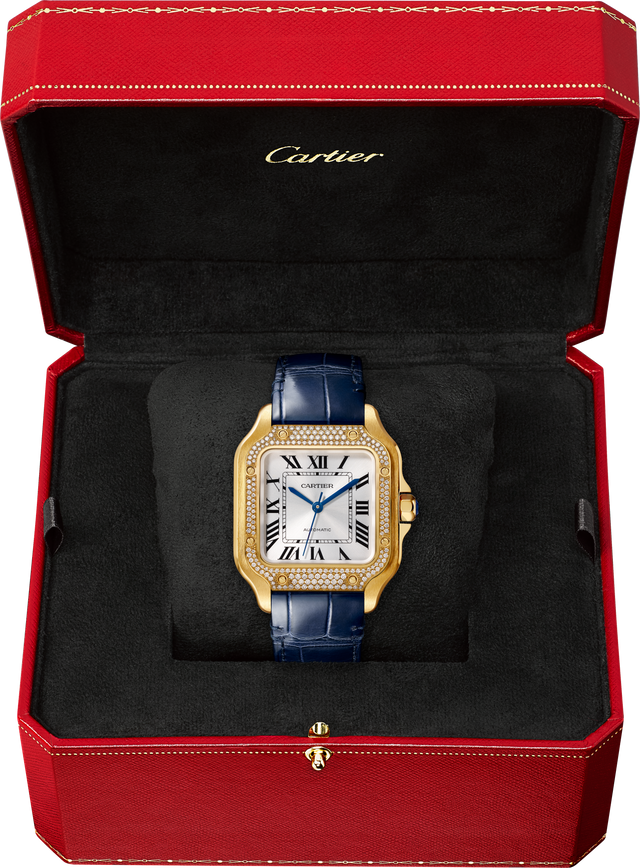 Santos de Cartier watch