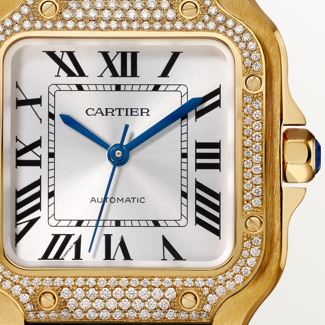 Santos de Cartier watch