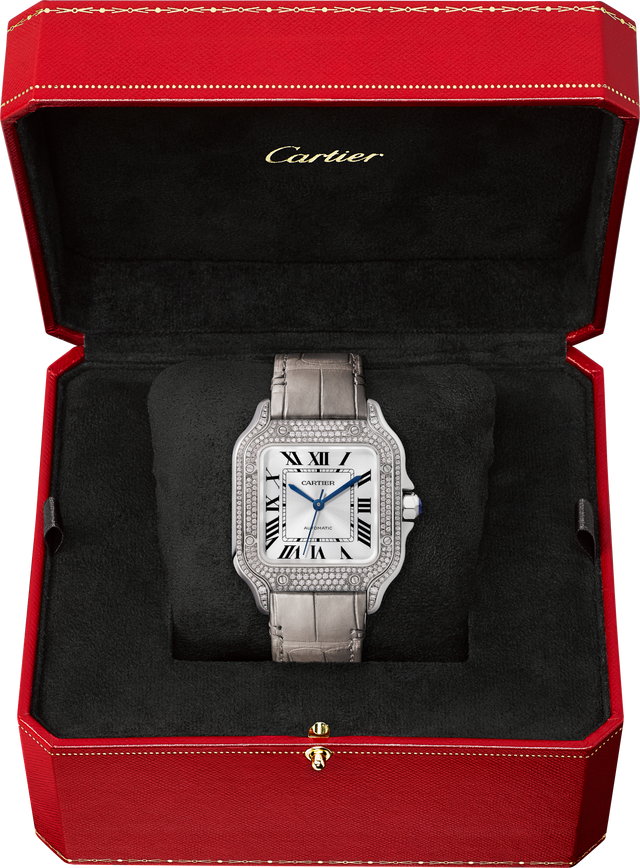 Santos de Cartier watch