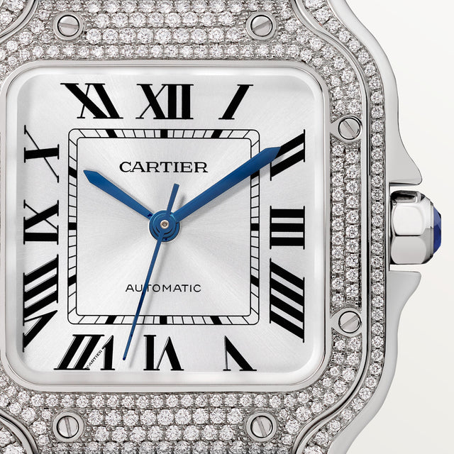 Santos de Cartier watch