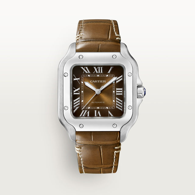 Santos de Cartier watch