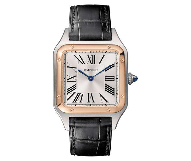 Cartier W2SA0011 Gallery1