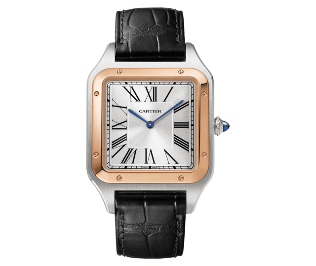 Cartier W2SA0017 Gallery1