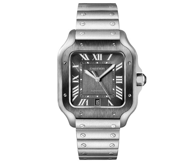 Cartier WSSA0037 Gallery136