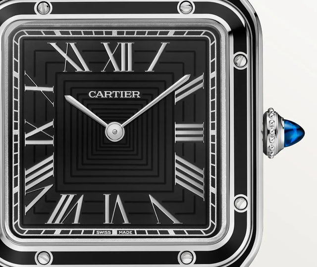 Cartier WSSA0046 Gallery3