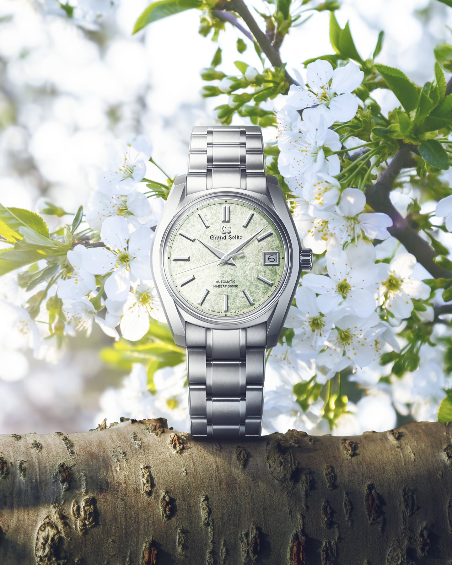 Grand Seiko Heritage Mechanical Hi-Beat 36000 SBGH343 Kennedy - Main Image