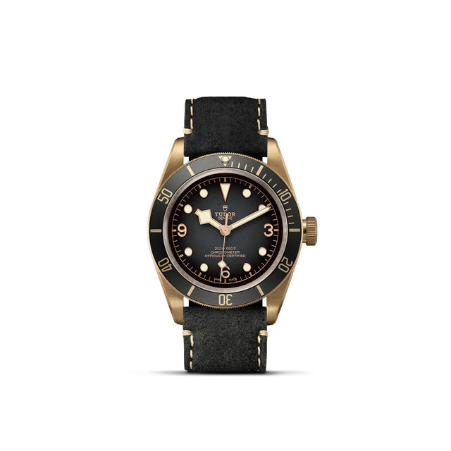 TUDOR Black Bay Bronze M79250BA 0001 Upright