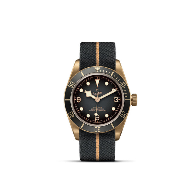 TUDOR Black Bay Bronze M79250BA 0002 Upright