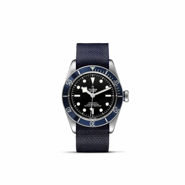 TUDOR Black Bay M79230B 0006 Upright