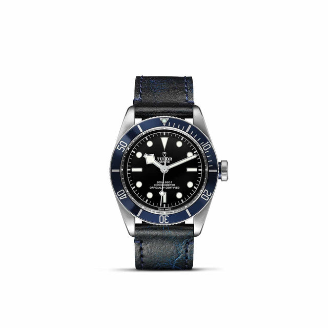 TUDOR Black Bay M79230B 0007 Upright