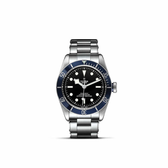 TUDOR Black Bay M79230B 0008 Upright