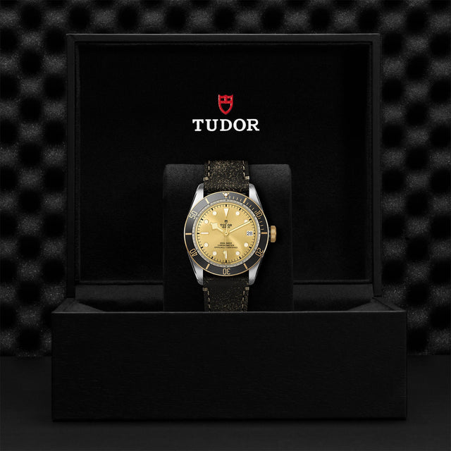 TUDOR Black Bay SG M79733N 0003 Presentation