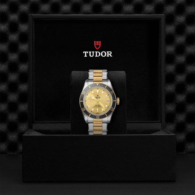 TUDOR Black Bay SG M79733N 0004 Presentation