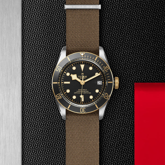 TUDOR Black Bay SG M79733N 0005 Flatlay