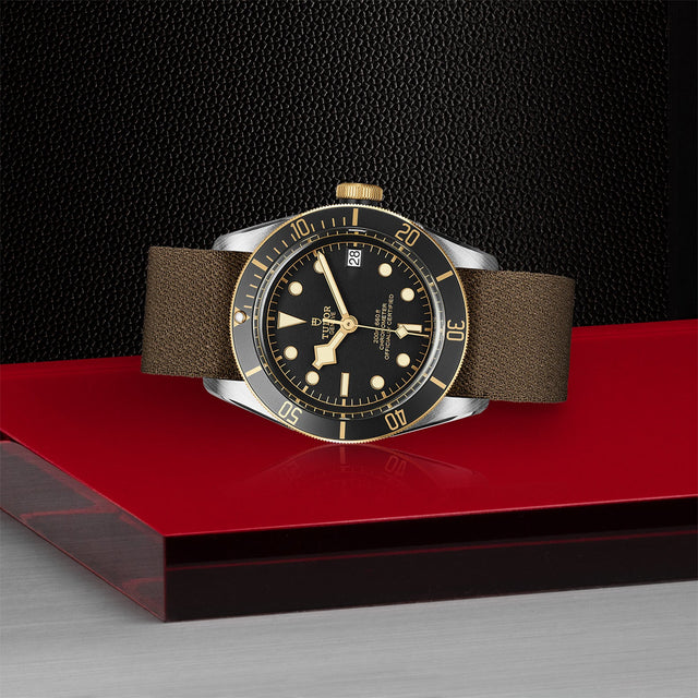 TUDOR Black Bay SG M79733N 0005 Layingdown