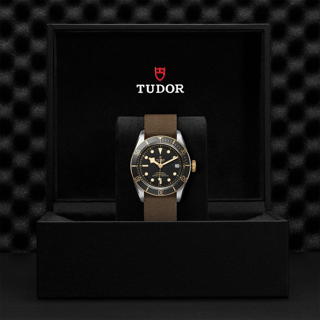 TUDOR Black Bay SG M79733N 0005 Presentation