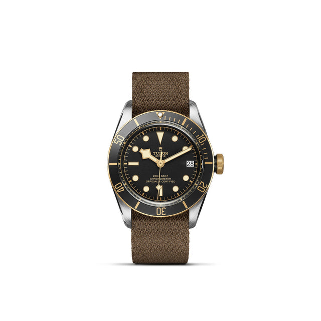 TUDOR Black Bay SG M79733N 0005 Upright