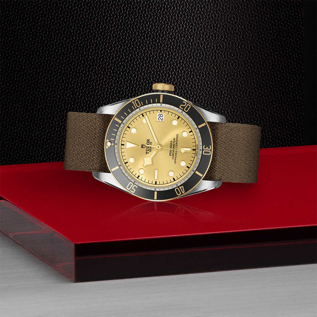 TUDOR Black Bay SG M79733N 0006 Layingdown