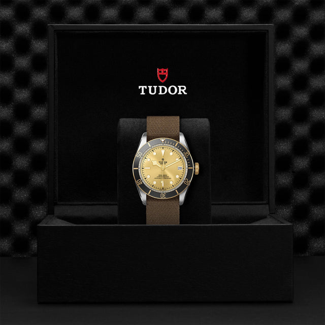 TUDOR Black Bay SG M79733N 0006 Presentation