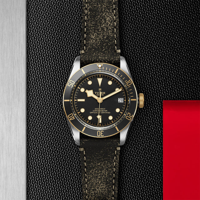 TUDOR Black Bay SG M79733N 0007 Flatlay