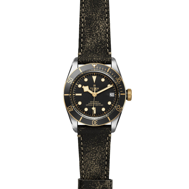 TUDOR Black Bay SG M79733N 0007 Frontfacing