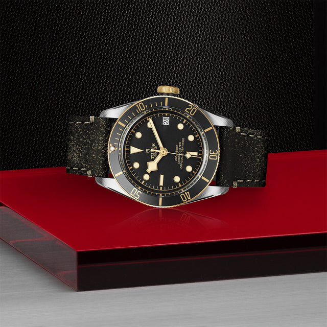 TUDOR Black Bay SG M79733N 0007 Layingdown