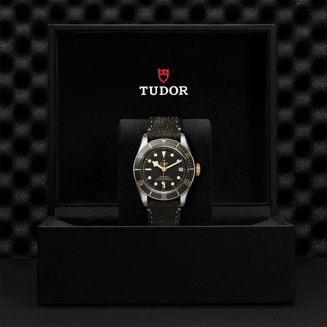 TUDOR Black Bay SG M79733N 0007 Presentation