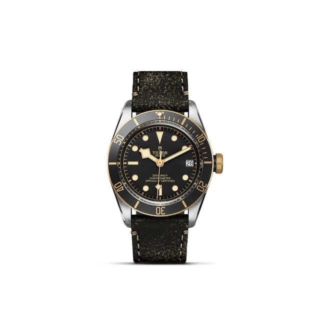 TUDOR Black Bay SG M79733N 0007 Upright