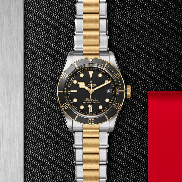 TUDOR Black Bay SG M79733N 0008 Flatlay