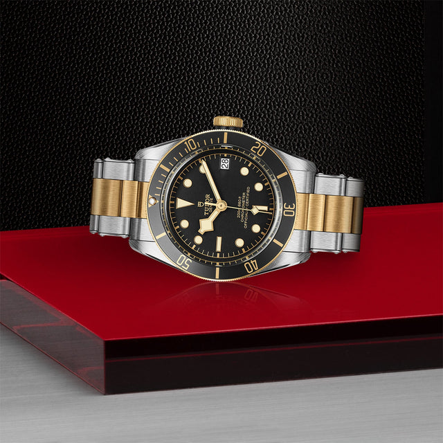 TUDOR Black Bay SG M79733N 0008 Layingdown