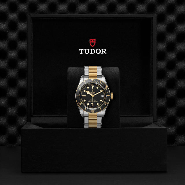 TUDOR Black Bay SG M79733N 0008 Presentation