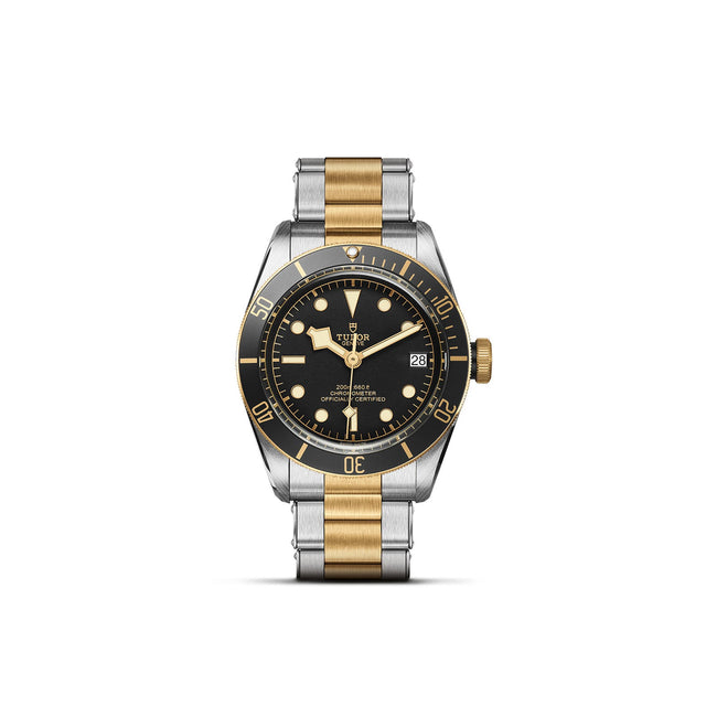 TUDOR Black Bay SG M79733N 0008 Upright