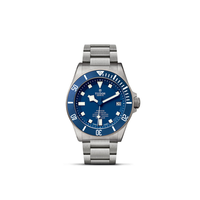 TUDOR Pelagos M25600TB 0001 Upright