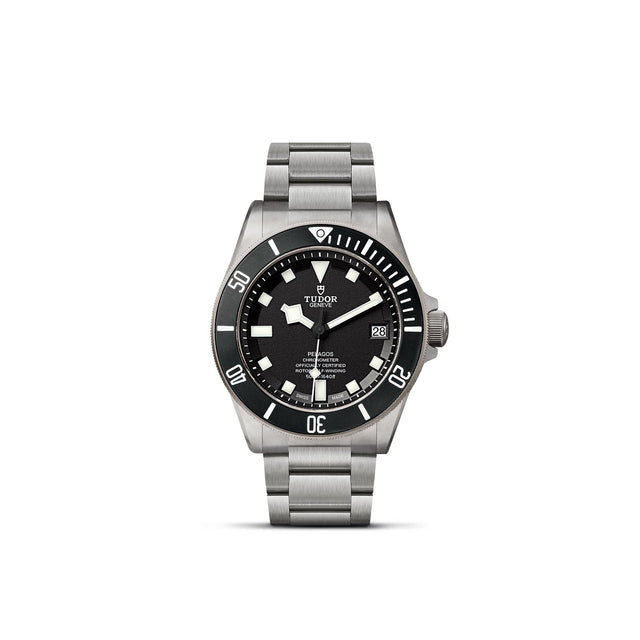 TUDOR Pelagos M25600TN 0001 Upright