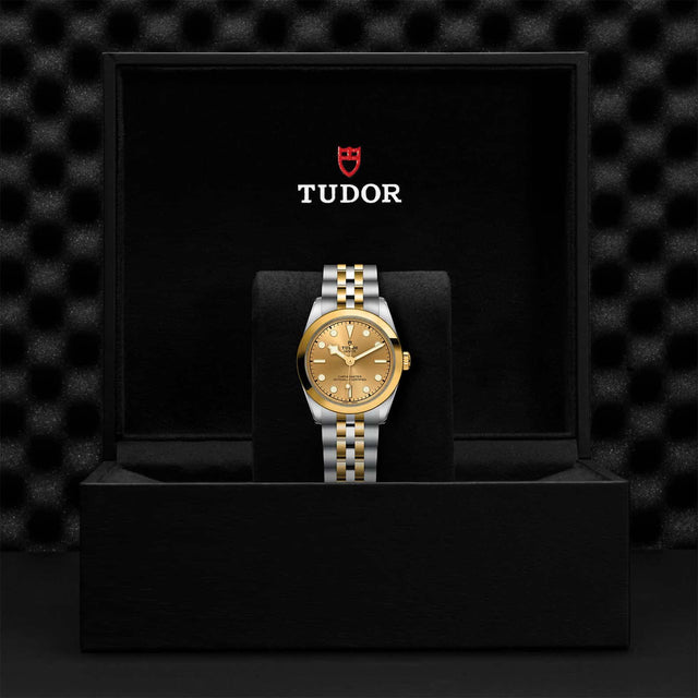 Tudor Watch Assets M79603 0005 Presentation Box