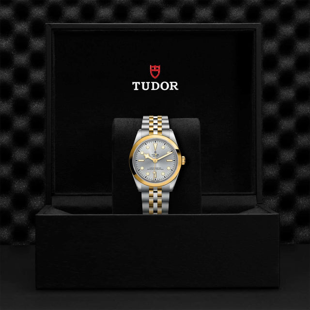 Tudor Watch Assets M79643 0002 Presentation Box